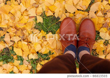 銀杏葉的枯葉和京都故宮的女鞋 銀杏葉的枯葉和京都故宮的女鞋 66813503