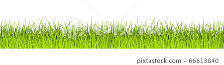 Green Grass Seamless Background. Vector illustration. Lawn border Green Grass Seamless Background. Vector illustration. Lawn border 66813840