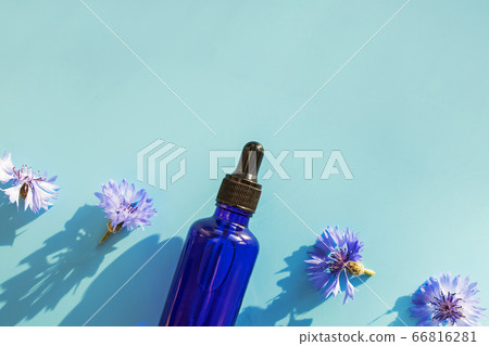 Blue glass bottle with serum and small flowers on blue background Blue glass bottle with serum and small flowers on blue background 66816281