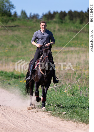 Beautiful man riding a horse on field Beautiful man riding a horse on field 66816408