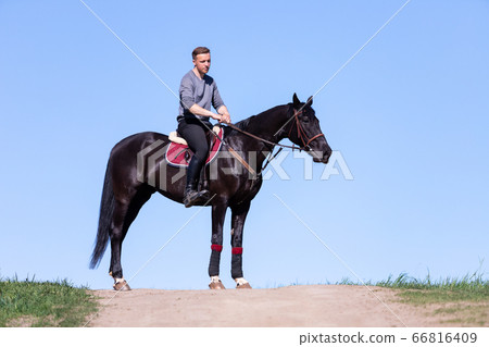 Beautiful man riding a horse on field Beautiful man riding a horse on field 66816409