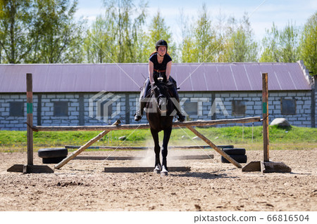 Beautiful girl riding a horse on manege Beautiful girl riding a horse on manege 66816504