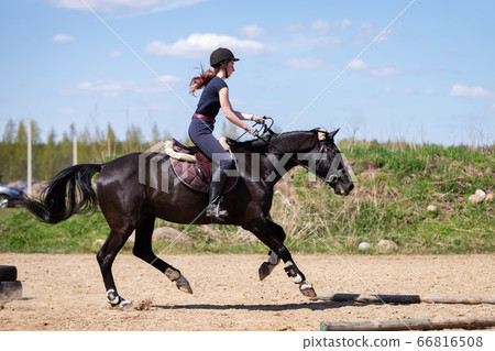 Beautiful girl riding a horse on manege Beautiful girl riding a horse on manege 66816508