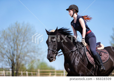 Beautiful girl riding a horse on manege Beautiful girl riding a horse on manege 66816509