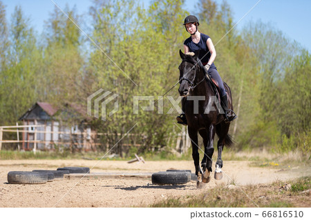 Beautiful girl riding a horse on manege Beautiful girl riding a horse on manege 66816510