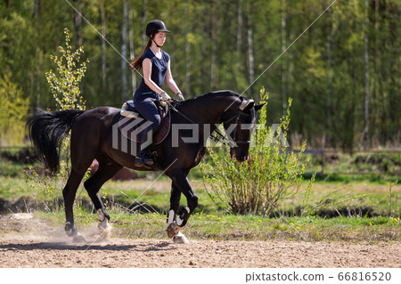 Beautiful girl riding a horse on manege Beautiful girl riding a horse on manege 66816520