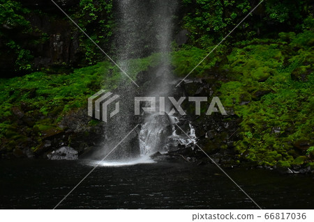 Fresh green and falls 66817036