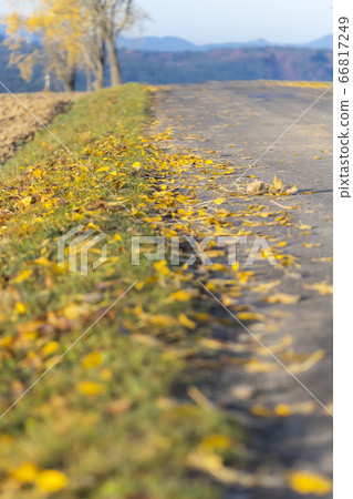 Autumn road inTatras, Slovakia Autumn road inTatras, Slovakia 66817249