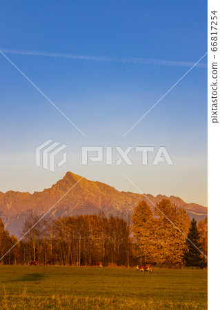 Krivan in Hight Tatras, Slovakia 66817254