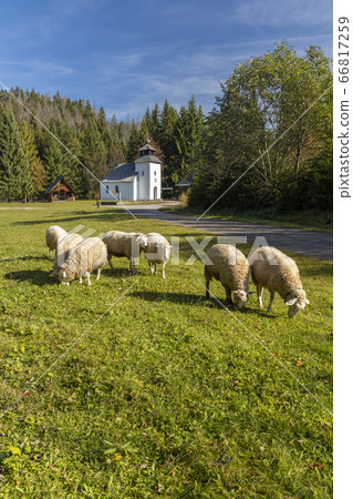 Museum Kysucke dediny in Kysuca, Slovakia 66817259