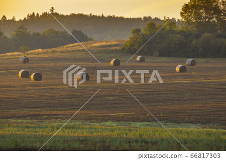 Sumava sumset near Svihov, Western Bohemia, Czech 66817303