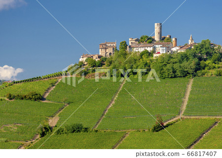 Castle and village Castiglione Falletto, Piemonte, 66817407