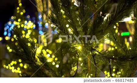 Green natural Christmas tree with shiny garland on background of blurry lights of Christmas market and ice rink Green natural Christmas tree with shiny garland on background of blurry lights of Christmas market and ice rink 66817485