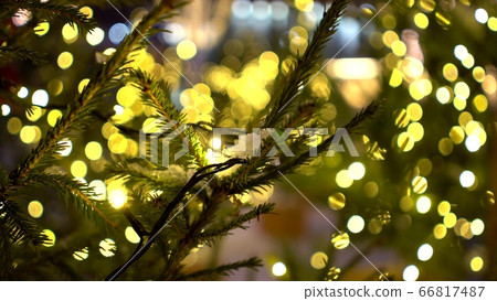 Close-up of Christmas tree branches with snow decorated with yellow lights garlands on Christmas market Close-up of Christmas tree branches with snow decorated with yellow lights garlands on Christmas market 66817487