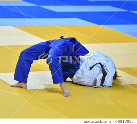 Girls compete in Judo Girls compete in Judo 66817893