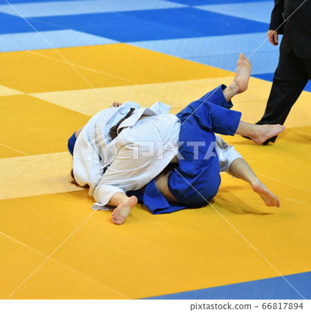 Girls compete in Judo Girls compete in Judo 66817894