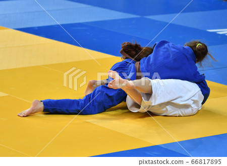 Girls compete in Judo Girls compete in Judo 66817895
