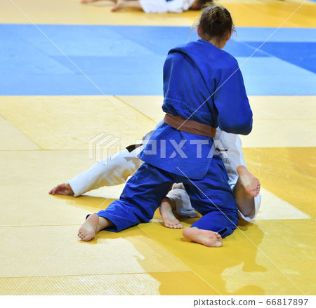 Girls compete in Judo Girls compete in Judo 66817897