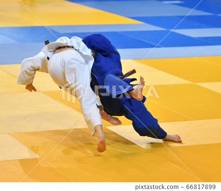 Girls compete in Judo Girls compete in Judo 66817899