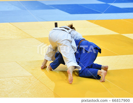 Girls compete in Judo Girls compete in Judo 66817900