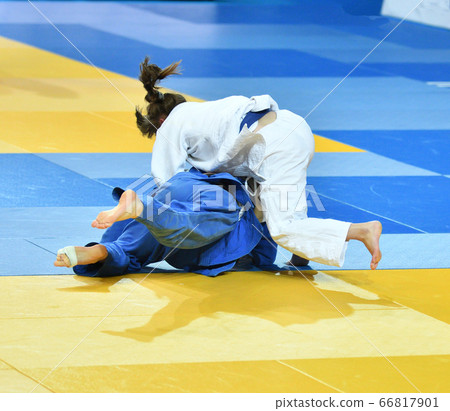 Girls compete in Judo Girls compete in Judo 66817901