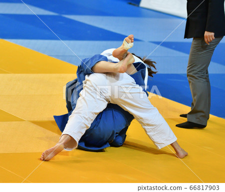 Girls compete in Judo Girls compete in Judo 66817903