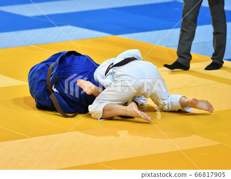 Girls compete in Judo Girls compete in Judo 66817905