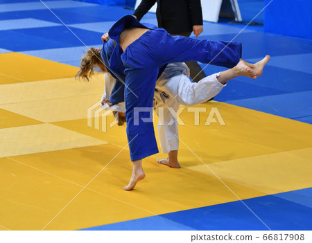 Girls compete in Judo Girls compete in Judo 66817908