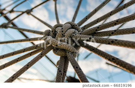 many ropes and one big knot 66819196