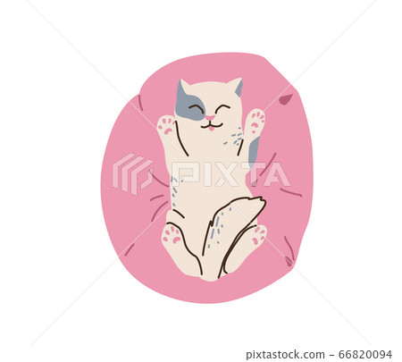 Very cute white spotted grey little kitten... - Stock Illustration  [66820094] - PIXTA