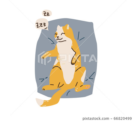 Cute orange and white spotted cat sleeping on back on a grey pillow. Snore lettering in bubble element. Vector illustration in simple cartoon flat style. Isolated on white background 66820499