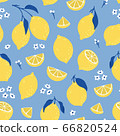 Tropical seamless pattern with yellow lemons. Summer print with citrus, lemons slices, fresh fruits and flowers in hand drawn style. Colorful vector background. 66820524