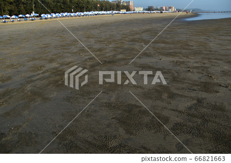Cox's Bazar beach in Bangladesh People who enjoy swimming Beach umbrellas lined with low tide sea and sandy beach Cox's Bazar beach in Bangladesh People who enjoy swimming Beach umbrellas lined with low tide sea and sandy beach 66821663