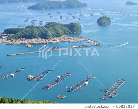 養殖網箱 糧價飛漲 鰤魚 鯛魚 高野須 鹿兒島縣長島町 天草前 照片素材 圖片 6637 圖庫