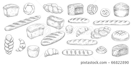 Bread and bakery sketches, engraved pastry 66822890