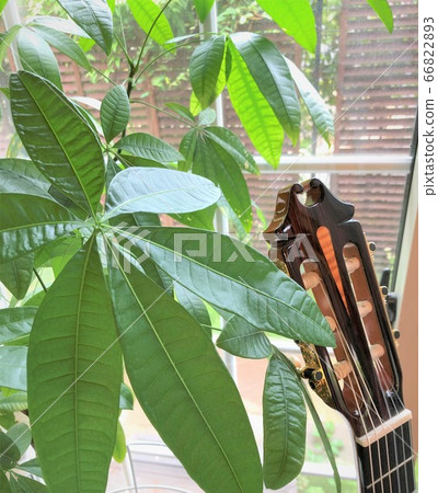 Rainy day guitar Rainy day guitar 66822893