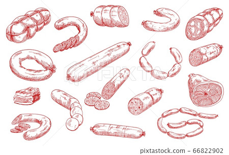 Sausages and meat products vector sketch set 66822902
