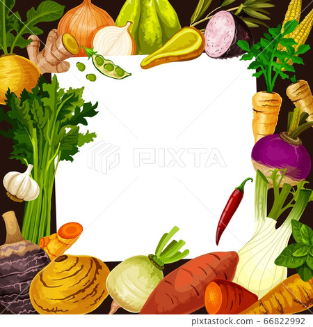 Vegetable salad recipe vector card Vegetable salad recipe vector card 66822992
