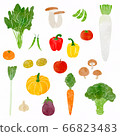 水彩手繪蔬菜插圖集 66823483