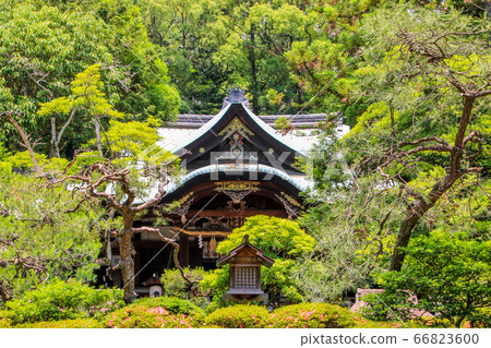 Okazaki Shrine Okazaki Shrine 66823600