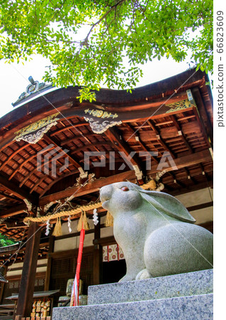 Okazaki Shrine 66823609