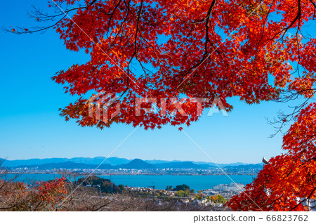Autumn leaves of Saikyoji 66823762