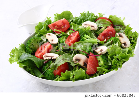 vegetable salad	 66823845
