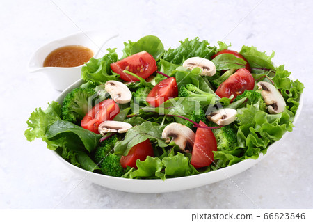 Vegetable salad and dressing 66823846