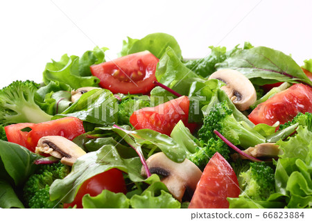 Dressed salad 66823884