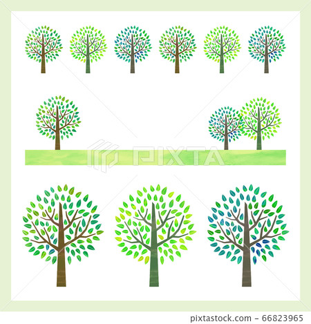 Green trees set (vector version) 66823965