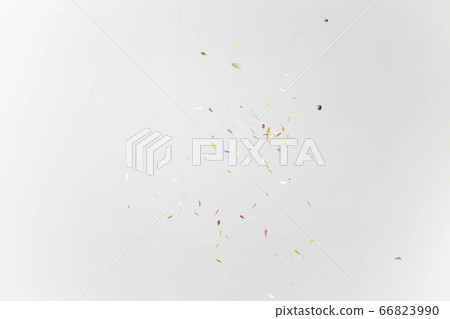 Petals _ dance Petals _ dance 66823990