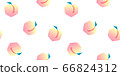 手繪桃果實無縫模式 66824312