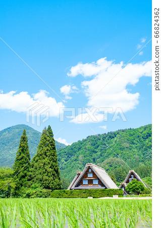 初夏白川鄉（白天） 66824362
