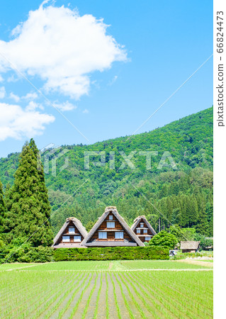 初夏白川鄉(白天) 初夏白川鄉(白天) 66824473